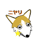 BOWWOW CORGIS！（個別スタンプ：14）