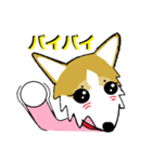 BOWWOW CORGIS！（個別スタンプ：17）