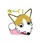 BOWWOW CORGIS！（個別スタンプ：20）