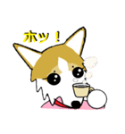 BOWWOW CORGIS！（個別スタンプ：21）