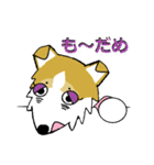 BOWWOW CORGIS！（個別スタンプ：22）