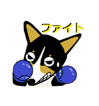 BOWWOW CORGIS！（個別スタンプ：31）