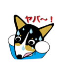 BOWWOW CORGIS！（個別スタンプ：34）