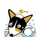 BOWWOW CORGIS！（個別スタンプ：35）