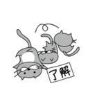 ワイルド志望の猫（個別スタンプ：29）