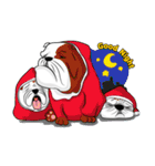 Ceza Bulldog ＆ The Gang（個別スタンプ：16）