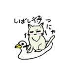 猫達とのダジャレ日常（個別スタンプ：12）