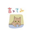 らくがき猫ちぅ（個別スタンプ：39）