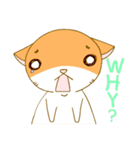 Double Chin Cat: Mr. ChyoChyo（個別スタンプ：11）