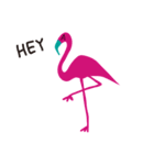 Flamingo！（個別スタンプ：1）
