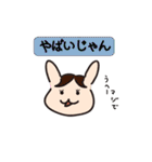 ひらけ！くーまん（個別スタンプ：29）