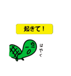 ひらけ！くーまん（個別スタンプ：33）