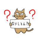 カンペ猫（個別スタンプ：1）