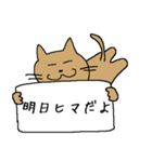 カンペ猫（個別スタンプ：2）