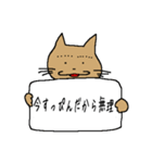 カンペ猫（個別スタンプ：19）