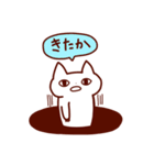 しゃべるうざいねこ（個別スタンプ：16）