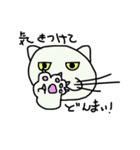 どんまい！白猫（個別スタンプ：10）