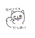 どんまい！白猫（個別スタンプ：13）