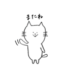 メッセンニャーのねこたん（個別スタンプ：25）