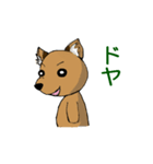 犬三匹（個別スタンプ：5）