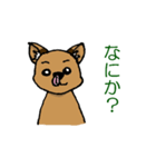 犬三匹（個別スタンプ：14）