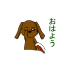 犬三匹（個別スタンプ：24）