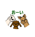 犬三匹（個別スタンプ：39）