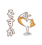 踊る敬語ネコ（個別スタンプ：37）