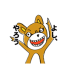 あおりっクマ（個別スタンプ：14）