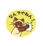 にゃんずらいふ（個別スタンプ：24）