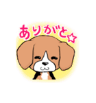 小さなビーグル犬・めいぷる（個別スタンプ：15）