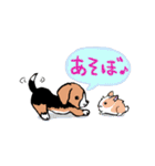 小さなビーグル犬・めいぷる（個別スタンプ：19）