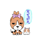 小さなビーグル犬・めいぷる（個別スタンプ：23）