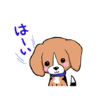 小さなビーグル犬・めいぷる（個別スタンプ：36）