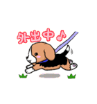 小さなビーグル犬・めいぷる（個別スタンプ：37）