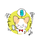 おねだりにゃんこ（個別スタンプ：11）