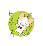 おねだりにゃんこ（個別スタンプ：15）