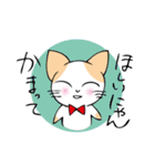 おねだりにゃんこ（個別スタンプ：16）