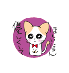 おねだりにゃんこ（個別スタンプ：17）