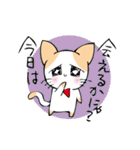 おねだりにゃんこ（個別スタンプ：19）