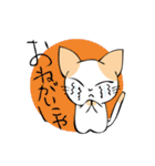おねだりにゃんこ（個別スタンプ：20）