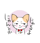 おねだりにゃんこ（個別スタンプ：27）