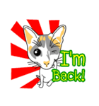 Maew Maew Thai Cat（個別スタンプ：1）
