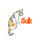 Maew Maew Thai Cat（個別スタンプ：2）