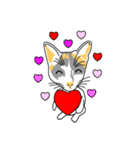 Maew Maew Thai Cat（個別スタンプ：5）