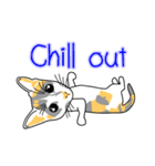 Maew Maew Thai Cat（個別スタンプ：6）