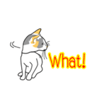 Maew Maew Thai Cat（個別スタンプ：7）