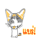 Maew Maew Thai Cat（個別スタンプ：11）