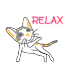Maew Maew Thai Cat（個別スタンプ：12）