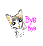 Maew Maew Thai Cat（個別スタンプ：13）